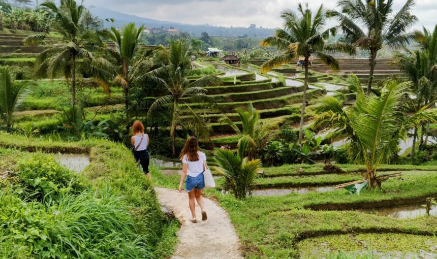 🏞️ Northern Bali’s Soul: Temples, Terraces, and Tranquil Beauty
